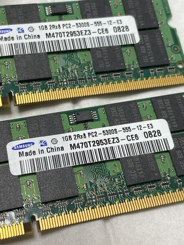 Two samsung 1gb 2rx8 - x2,